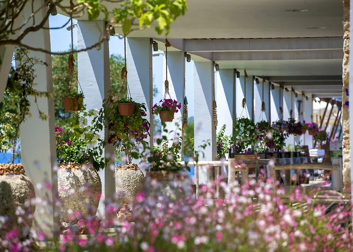 Otel Doria Yacht Club 4*